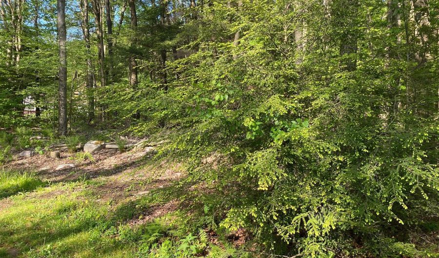 99 ACRE ROCK Ldg, Accident, MD 21520 - 0 Beds, 0 Bath