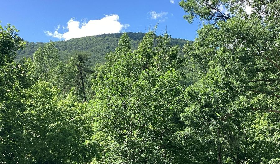 387 STEVE BROWN ROAD Rd, Bean Station, TN 37708 - 0 Beds, 0 Bath