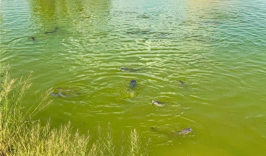 Cr 1161 lot R2, Alice, TX 78332 - 0 Beds, 0 Bath