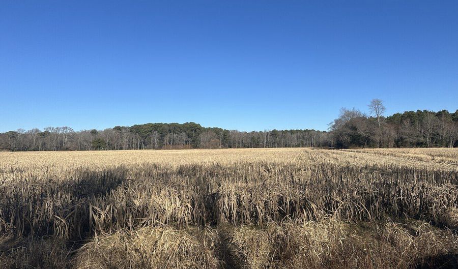 0 Bivalve Lodge Rd, Bivalve, MD 21814 - 0 Beds, 0 Bath