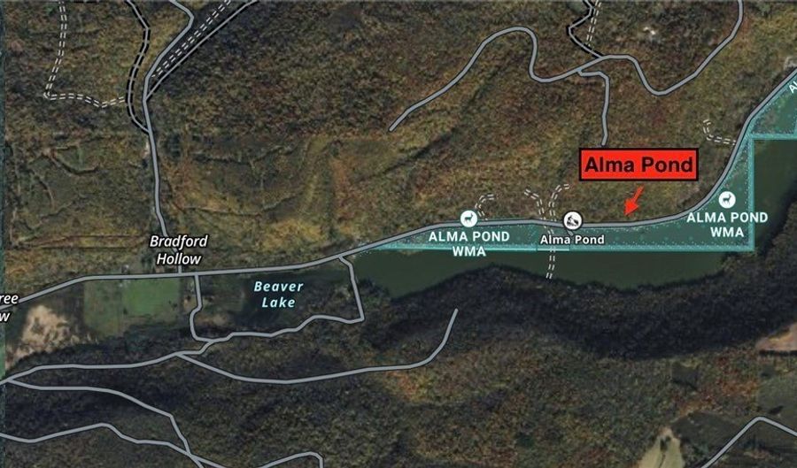 Cr-38, Alma, NY 14708 - 0 Beds, 0 Bath