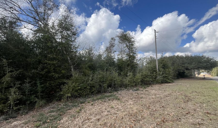 Vancouver Drive, Alford, FL 32420 - 0 Beds, 0 Bath