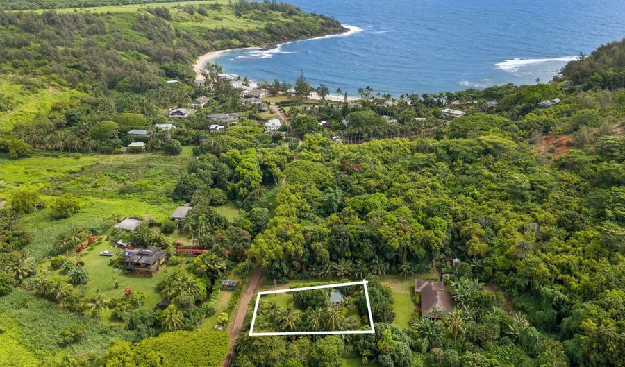 3665 MOLOAA Rd, Kapaa, HI 96746 - 1 Beds, 1 Bath