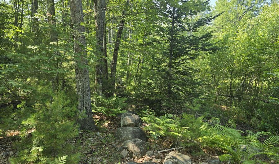 Head Tide Hill Road, Alna, ME 04535 - 0 Beds, 0 Bath