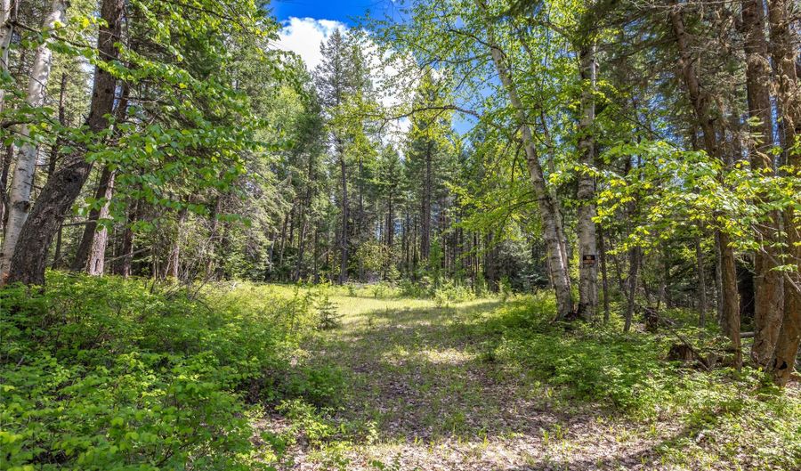 Nhn Red Hawk Drive, Bigfork, MT 59911 - 0 Beds, 0 Bath