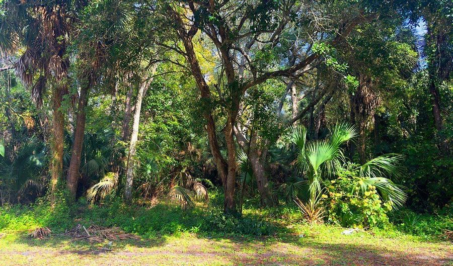 Lot 9 6th St, Apalachicola, FL 32320 - 0 Beds, 0 Bath