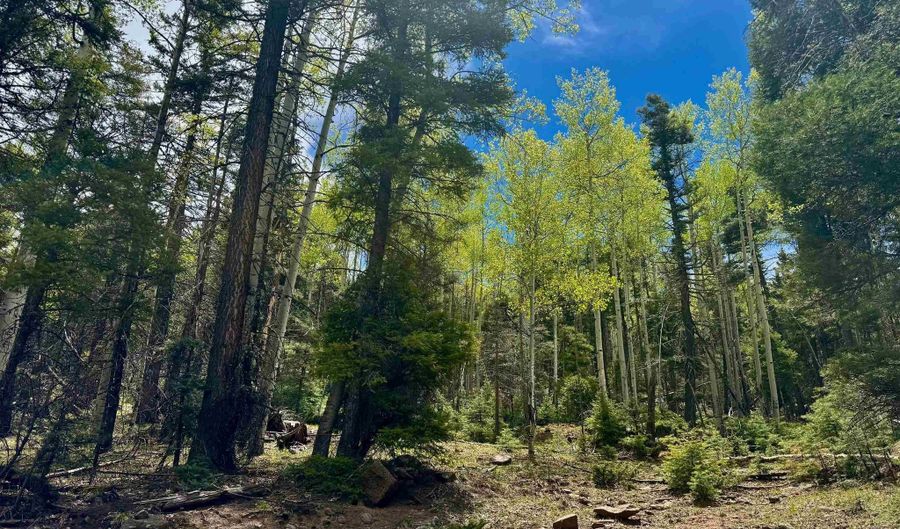 Lot 455 El Camino Real, Angel Fire, NM 87710 - 0 Beds, 0 Bath