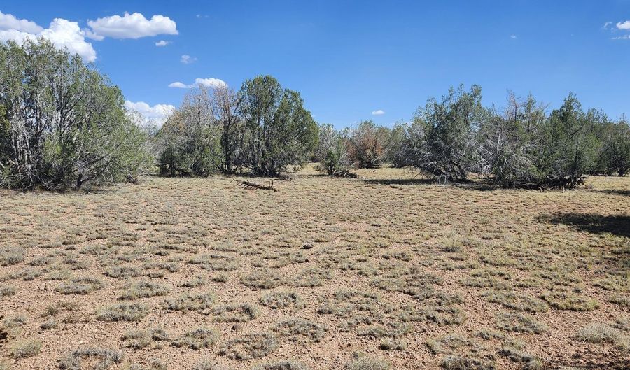 2901 N Cienega Dr A, Ash Fork, AZ 86320 - 0 Beds, 0 Bath