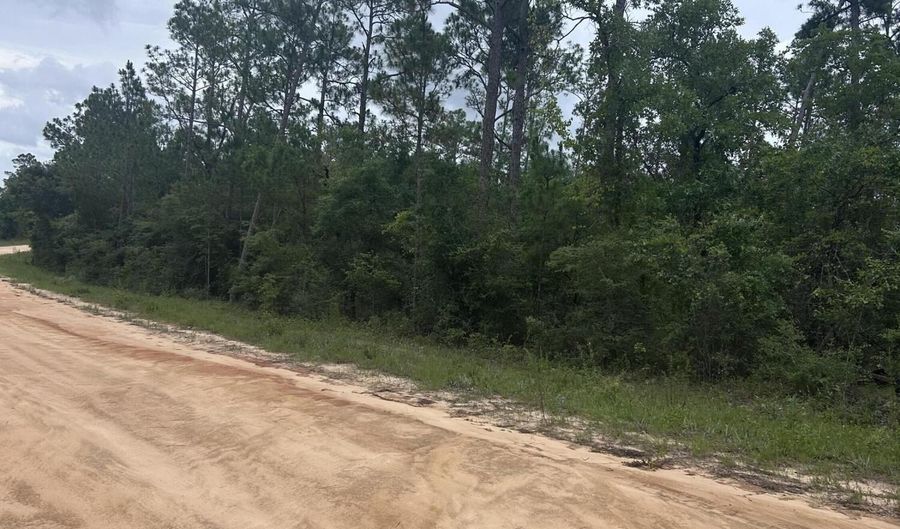 Abraham Street, Alford, FL 32420 - 0 Beds, 0 Bath