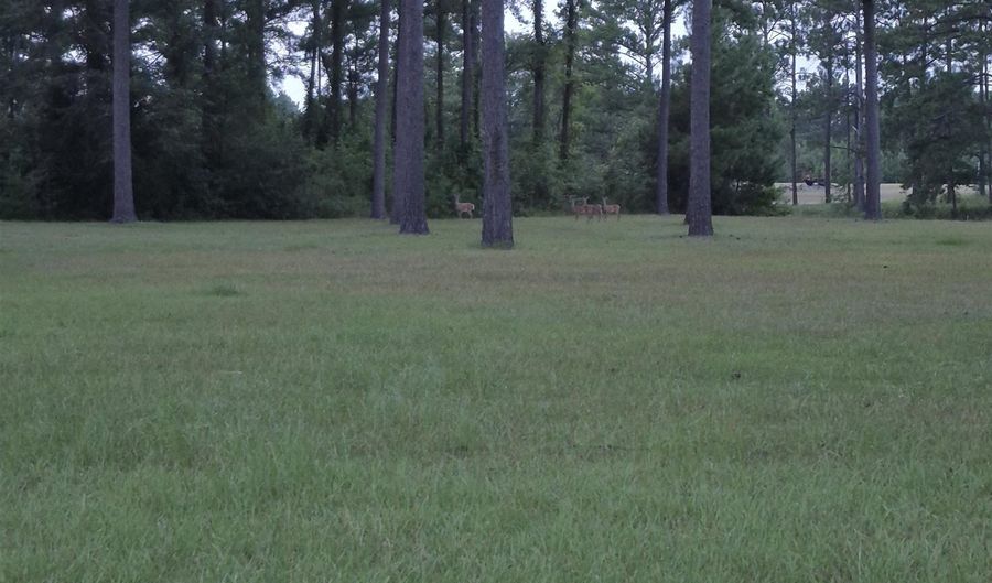 001 Bush Isle Rd, Andalusia, AL 36421 - 0 Beds, 0 Bath