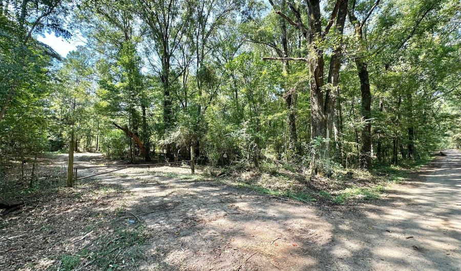 3 Champion Hill Rd, Bolton, MS 39041 - 0 Beds, 0 Bath