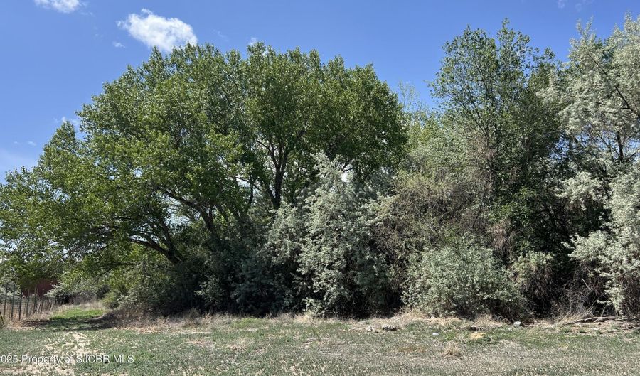 Xx PALOMINO, Bloomfield, NM 87413 - 0 Beds, 0 Bath