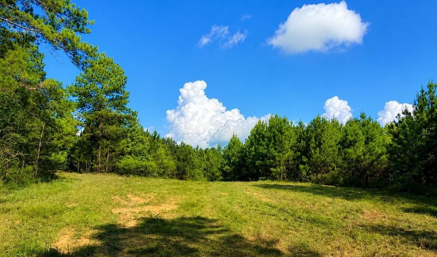SW Auburn Drive, Bogue Chitto, MS 39629 - 0 Beds, 0 Bath