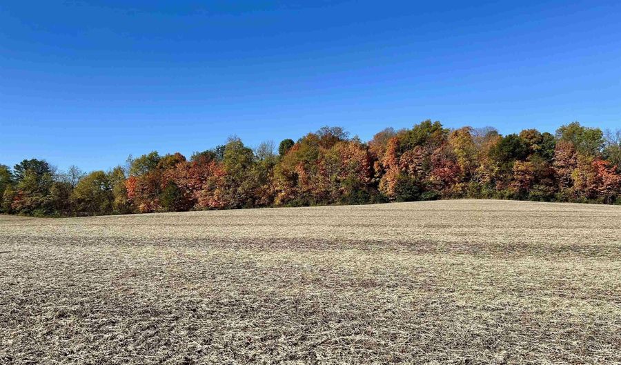 SR 167, Albany, IN 47320 - 0 Beds, 0 Bath