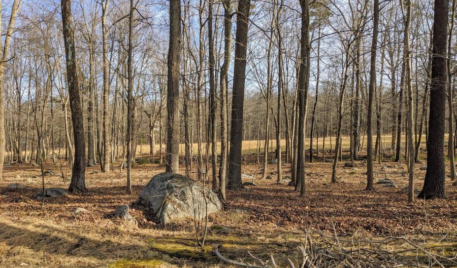 Katu Trail and Penn Forest, Albrightsville, PA 18210 - 0 Beds, 0 Bath