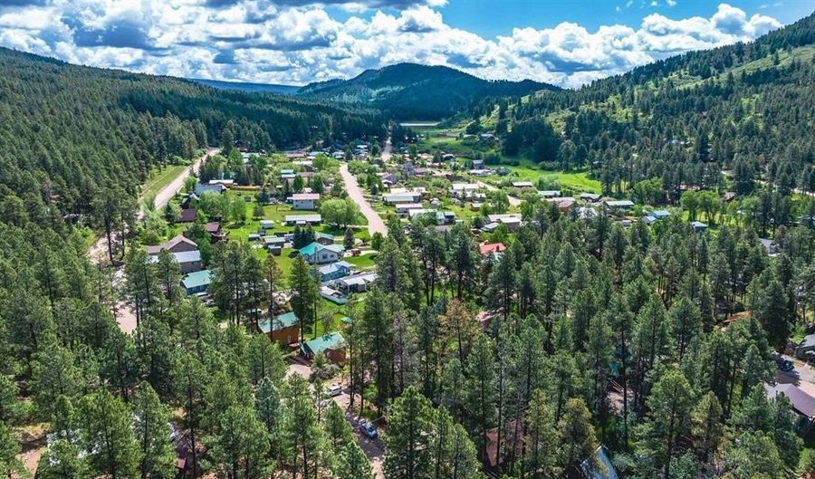 294 Forest Lakes Dr, Bayfield, CO 81122 - 3 Beds, 2 Bath