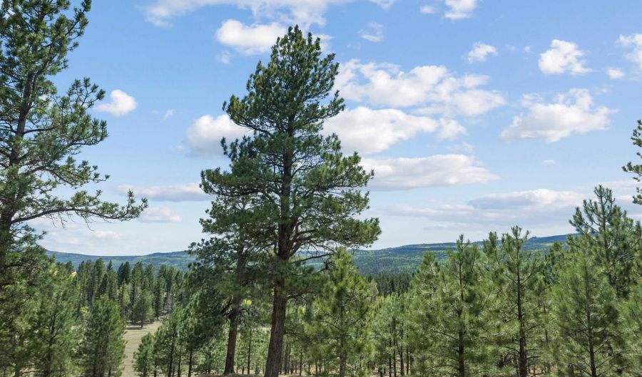 19 Laguna Negra Rd, Angel Fire, NM 87710 - 2 Beds, 3 Bath