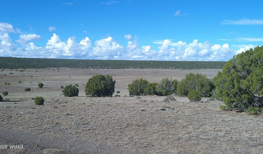 7 N CR 8171, Concho, AZ 85924 - 0 Beds, 0 Bath