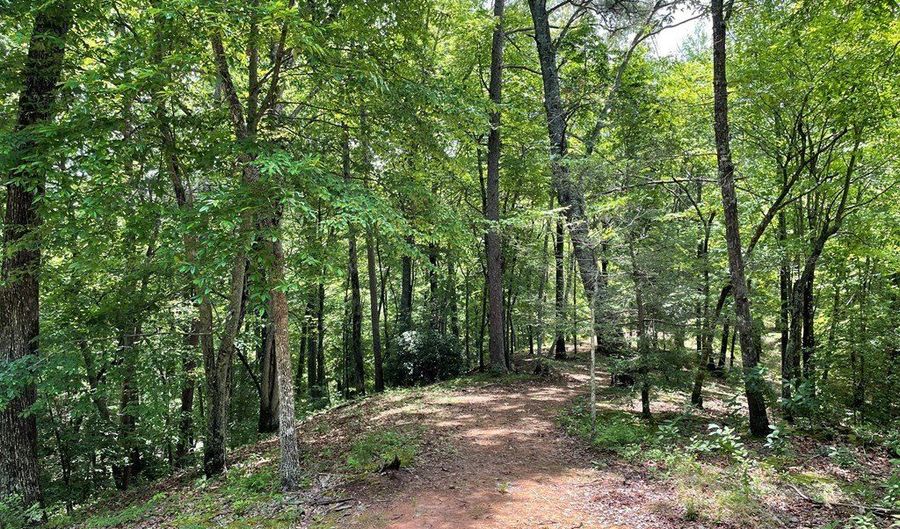 21 Collett Woods Trl Lot #21, Andrews, NC 28901 - 0 Beds, 0 Bath