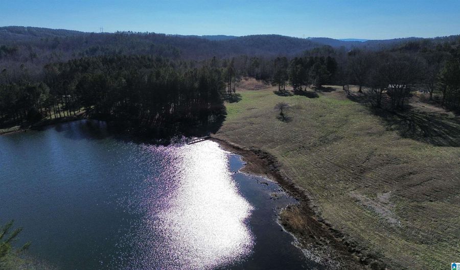 46088 HIGHWAY 77 Lot 0, Ashland, AL 36251 - 0 Beds, 0 Bath