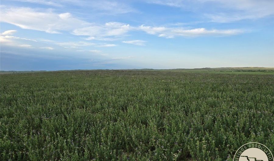 NHN John Deere Lane, Baker, MT 59313 - 0 Beds, 0 Bath