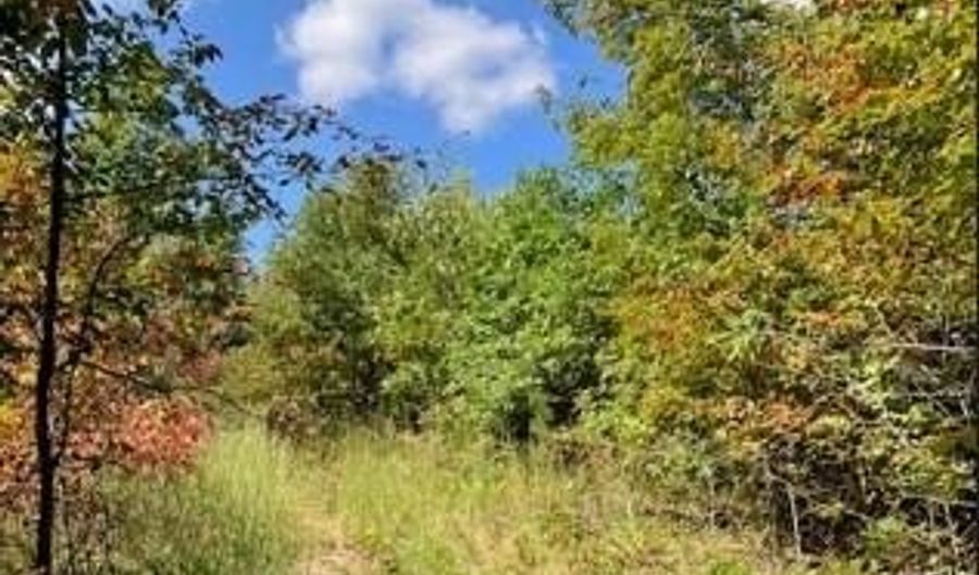 10 Church Road CR 114, Annapolis, MO 63620 - 0 Beds, 0 Bath