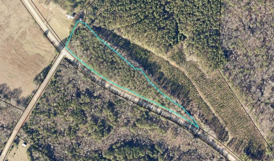 Lot 3a Elberton Highway, Lincolnton, GA 30817 - 0 Beds, 0 Bath