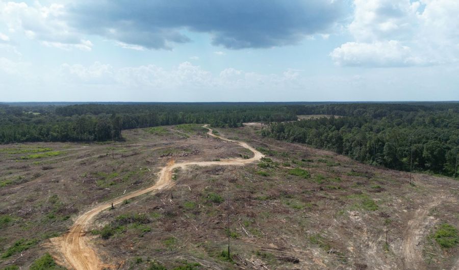 SE Cole Drive, Bogue Chitto, MS 39629 - 0 Beds, 0 Bath