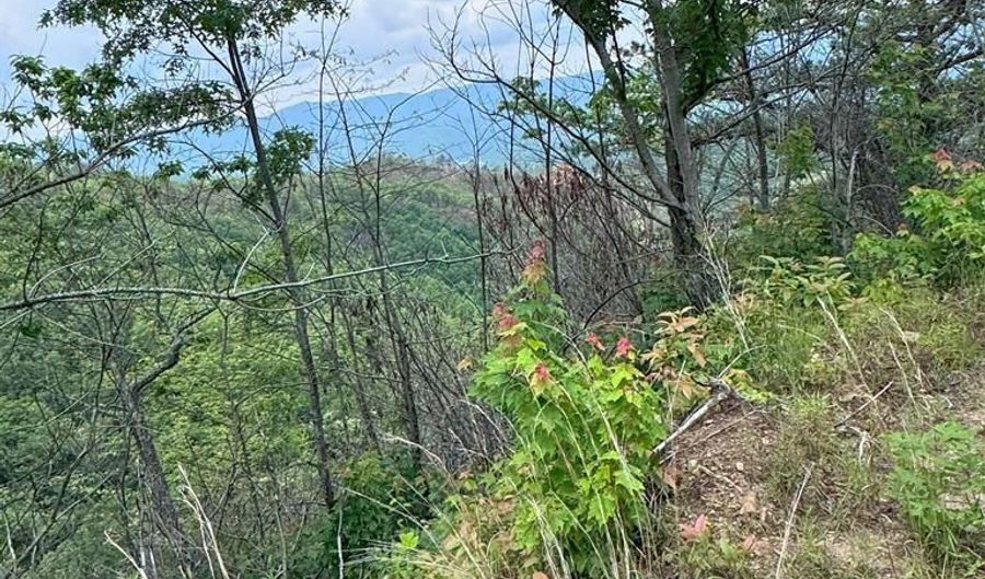 88 Acres Bolden Br, Andrews, NC 28901 - 0 Beds, 0 Bath