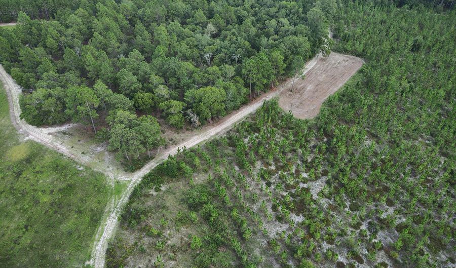 4601 Seven Pines Rd Lot 4 & 1, Barnwell, SC 29812 - 0 Beds, 0 Bath