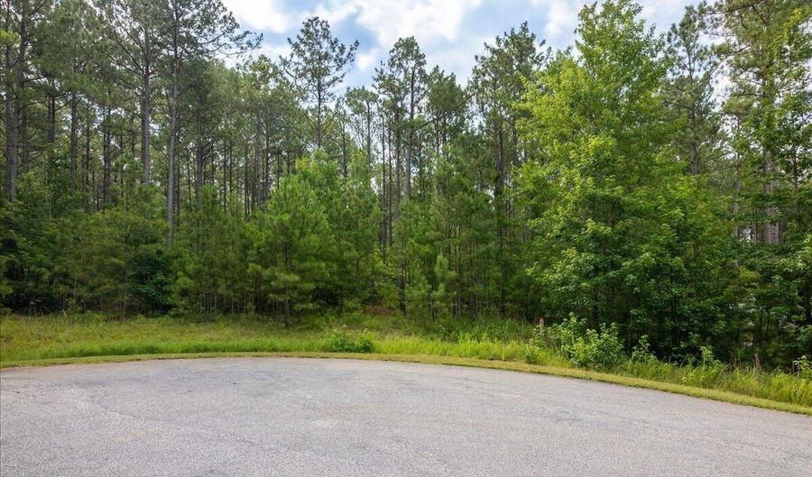 Lot 113 Dock Side Lane, Lincolnton, GA 30817 - 0 Beds, 0 Bath