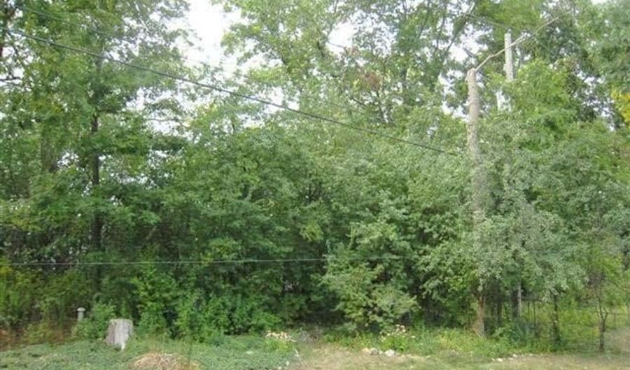 1424 Dicken Dr, Ann Arbor, MI 48103 - 4 Beds, 3 Bath