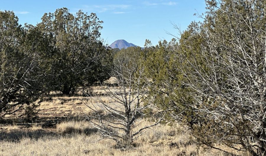 2249 Cienega Dr, Ash Fork, AZ 86320 - 0 Beds, 0 Bath