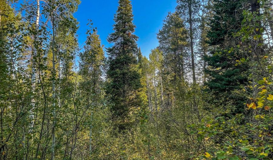 Tbd ALPINE MEADOW LOOP 14, Alpine, WY 83128 - 0 Beds, 0 Bath