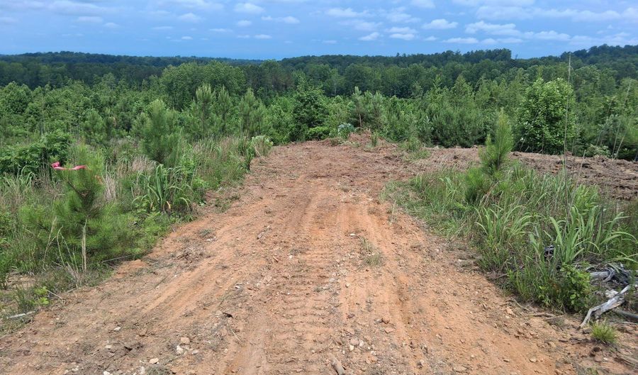 Tract 3 Tucker Rd, Bath Springs, TN 38311 - 0 Beds, 0 Bath