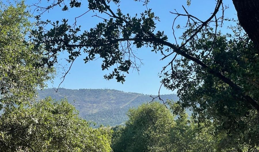 295 Mary Belle Way, Angels Camp, CA 95222 - 0 Beds, 0 Bath