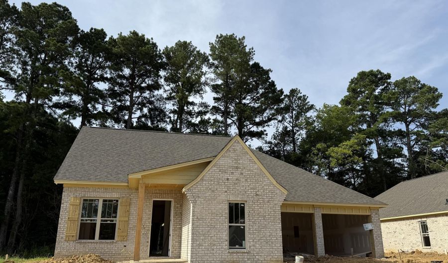 412 Hyde Park Cv, Brandon, MS 39042 - 4 Beds, 3 Bath