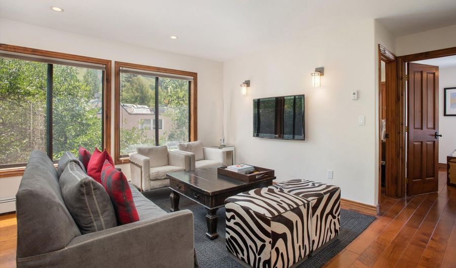 725 E Main St #309, Aspen, CO 81611 - 2 Beds, 1 Bath