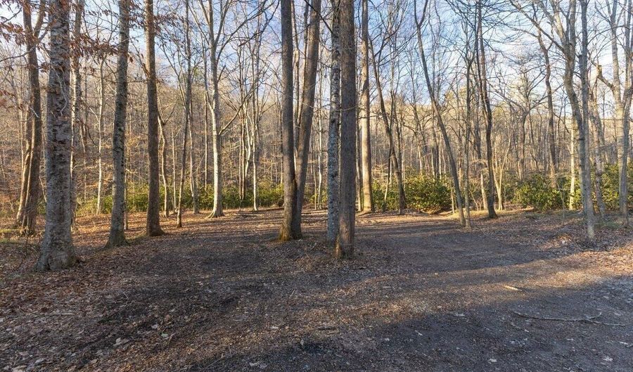 Brair Fork Road, Bean Station, TN 37708 - 0 Beds, 0 Bath
