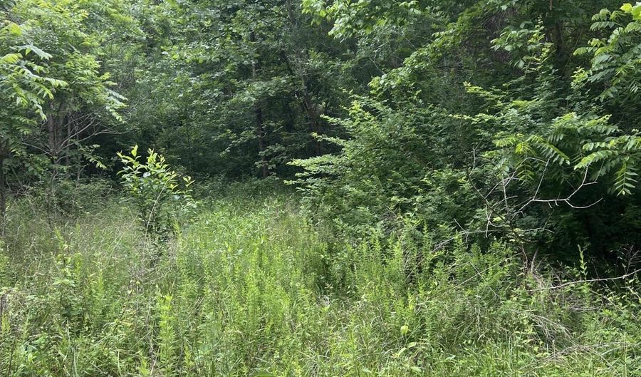 6387 W County Road 76-436, Ava, MO 65608 - 0 Beds, 0 Bath