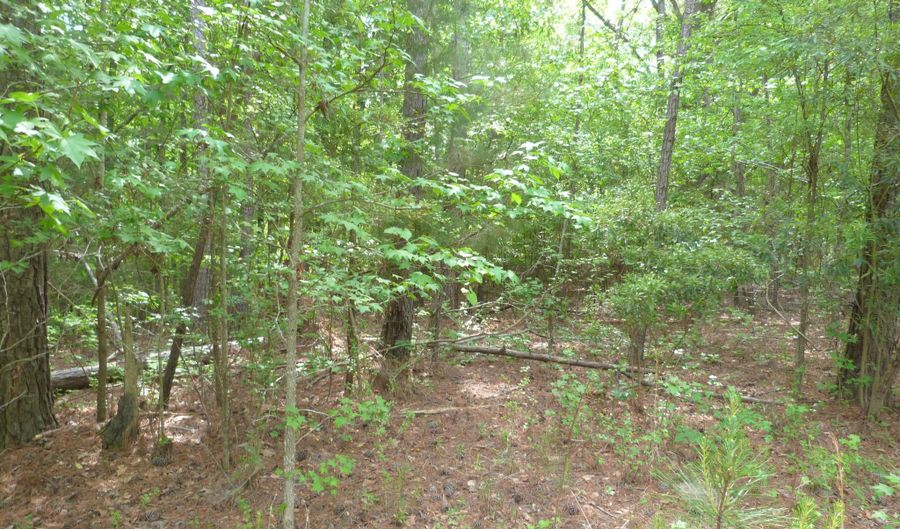 Winfield Road, Appling, GA 30802 - 0 Beds, 0 Bath