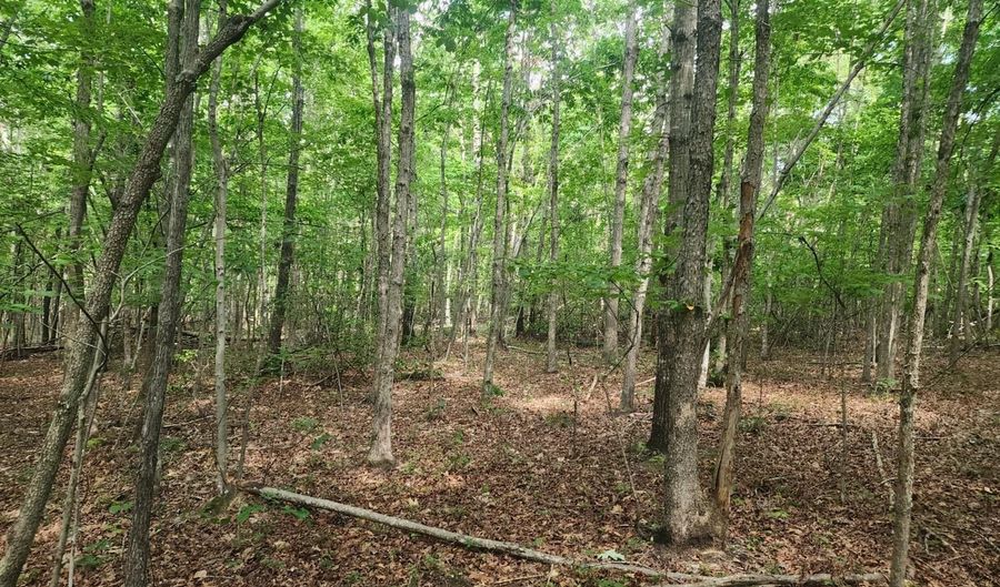 0- Lot 8-1 Red House Rd, Appomattox, VA 24522 - 0 Beds, 0 Bath