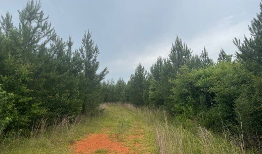 0 Salco Rd, Axis, AL 36505 - 0 Beds, 0 Bath