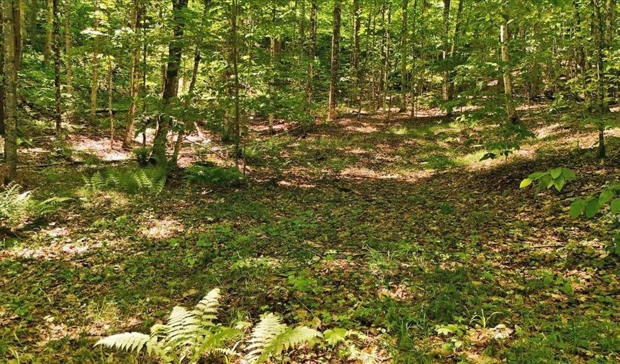 Barnett Road lot 16, Calais, VT 05648 - 0 Beds, 0 Bath