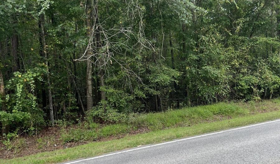 Us Highway 264a lot 1, Bailey, NC 27807 - 0 Beds, 0 Bath
