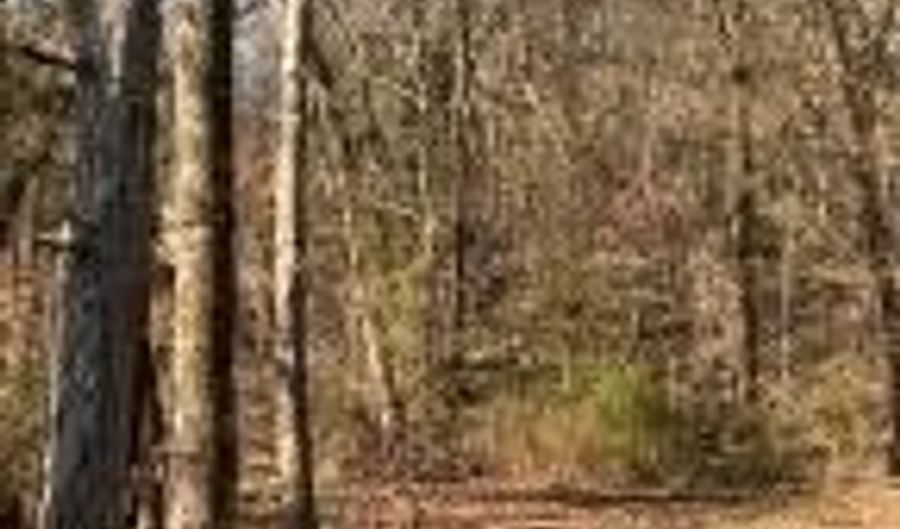 00000 Crow Mountain Dr, Atkins, AR 72823 - 0 Beds, 0 Bath
