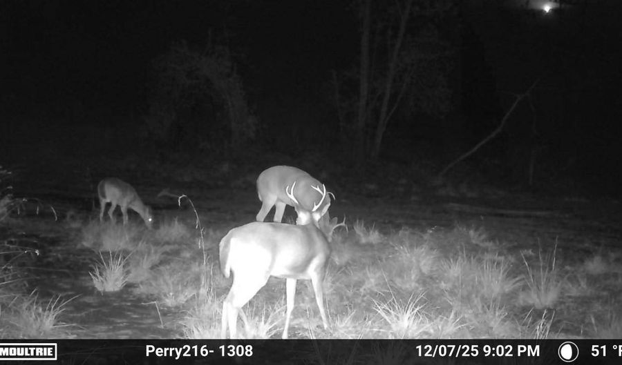 US Hwy 98, Beaumont, MS 39423 - 0 Beds, 0 Bath