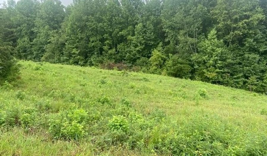 640 Leagan Dr, Blacksburg, SC 29702 - 0 Beds, 0 Bath