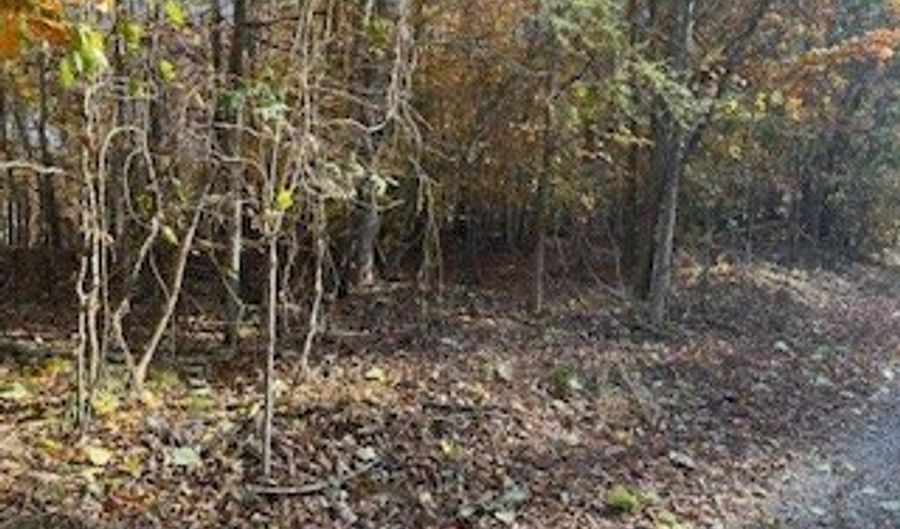 Julius Bridge Road, Ball Ground, GA 30107 - 0 Beds, 0 Bath