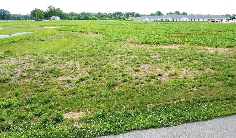 0 Station Xing Lot 8, Waterloo, IL 62298 - 0 Beds, 0 Bath